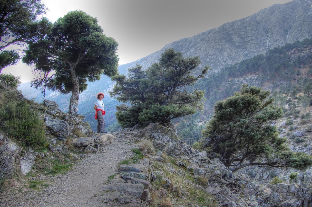 ホテルLa Ermita De Los Llanos アレーナス・デ・サン・ペドロ エクステリア 写真